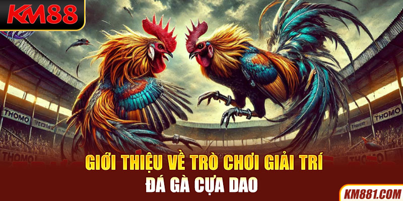 Giới thiệu về trò chơi giải trí đá gà cựa dao