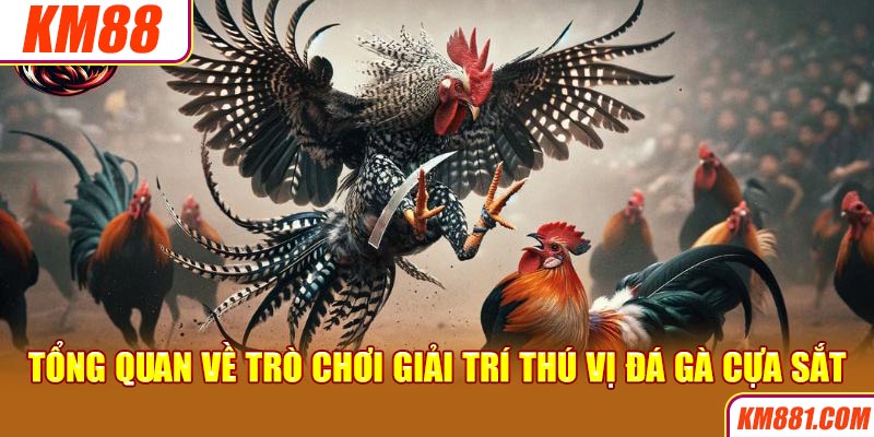 Tổng quan về trò chơi giải trí thú vị đá gà cựa sắt