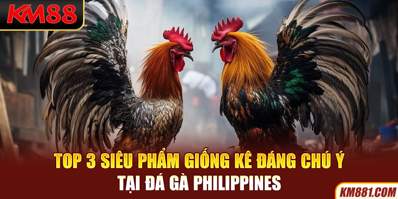 Top 3 siêu phẩm giống kê đáng chú ý tại đá gà Philippines