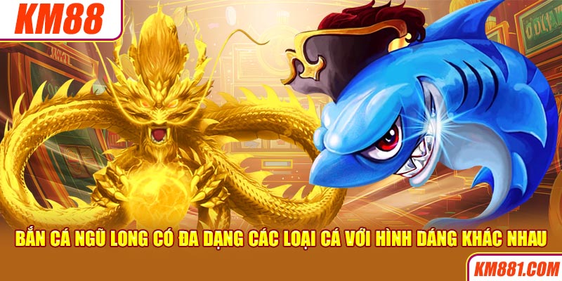 Bắn cá ngũ long có đa dạng các loại cá với hình dáng khác nhau