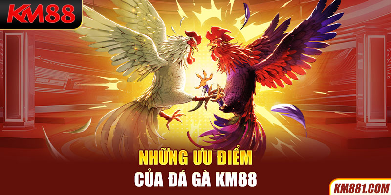 Những ưu điểm của Đá Gà KM88