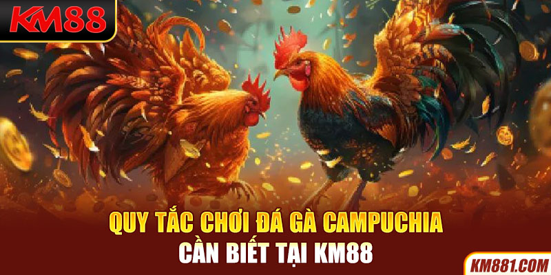 Quy tắc chơi đá gà Campuchia cần biết tại KM88