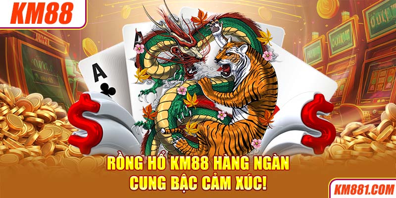 Rồng Hổ KM88 hàng ngàn cung bậc cảm xúc!