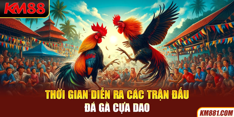 Thời gian diễn ra các trận đấu đá gà cựa dao