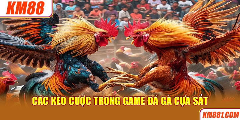 Các kèo cược trong game đá gà cựa sắt