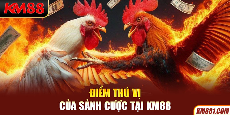 Điểm thú vị của sảnh cược tại KM88