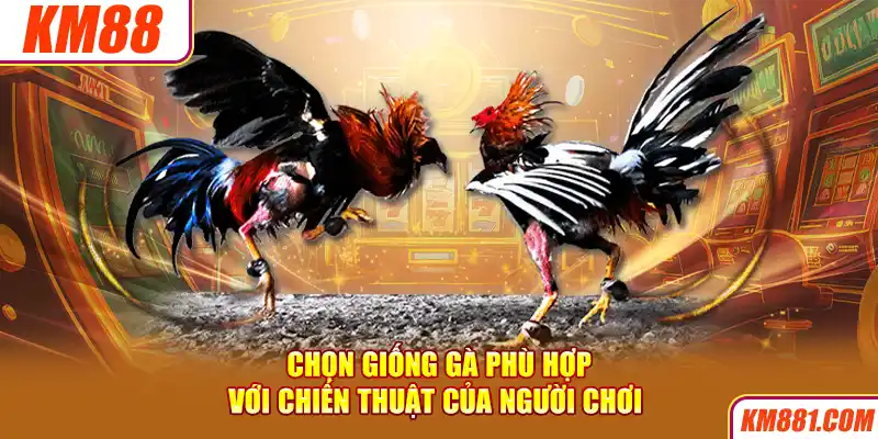 Chọn giống gà phù hợp với chiến thuật của người chơi 