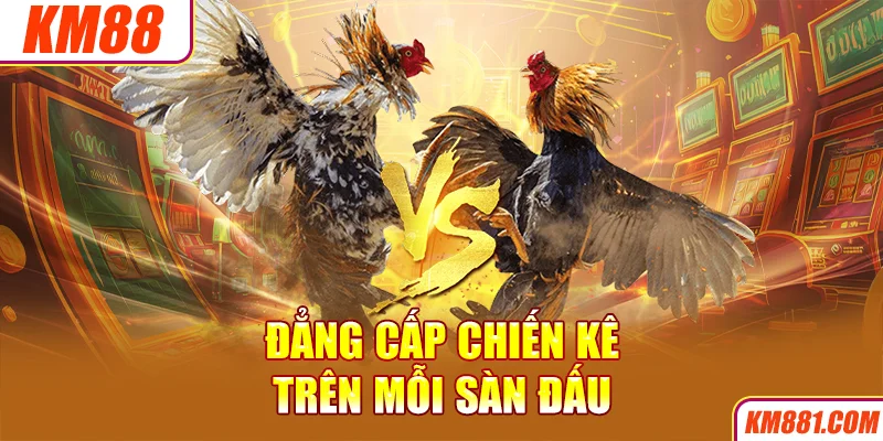 Đẳng cấp chiến kê trên mỗi sàn đấu 