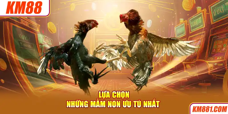 Lựa chọn những mầm non ưu tú nhất 